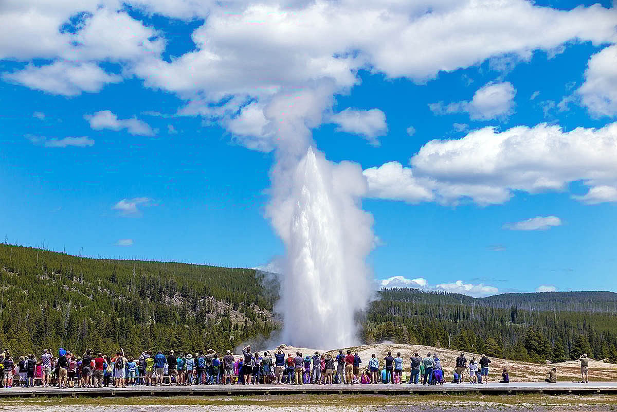 Old Faithful on a tour with the Cody Shuttle