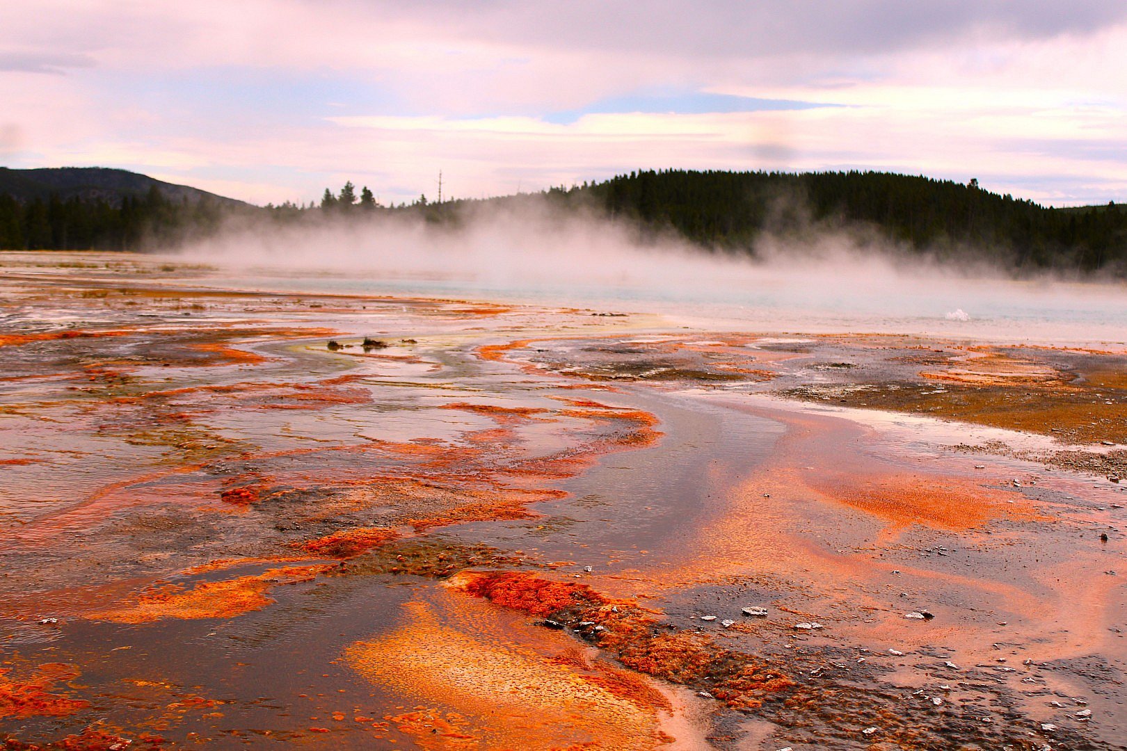Grand Prismatic Spring -YNP 2025