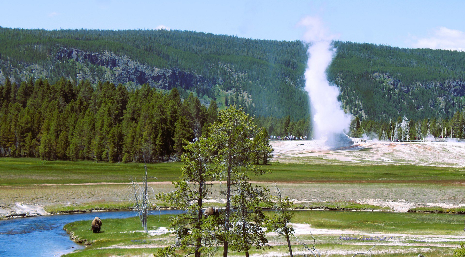 Lower Loop - Daisy Geyser - Upper Geyser Basin