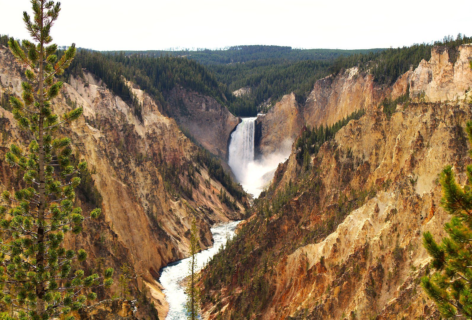 Lower Loop - Yellowstone Falls - Grand Canyon of Yellowstone YNP 2025