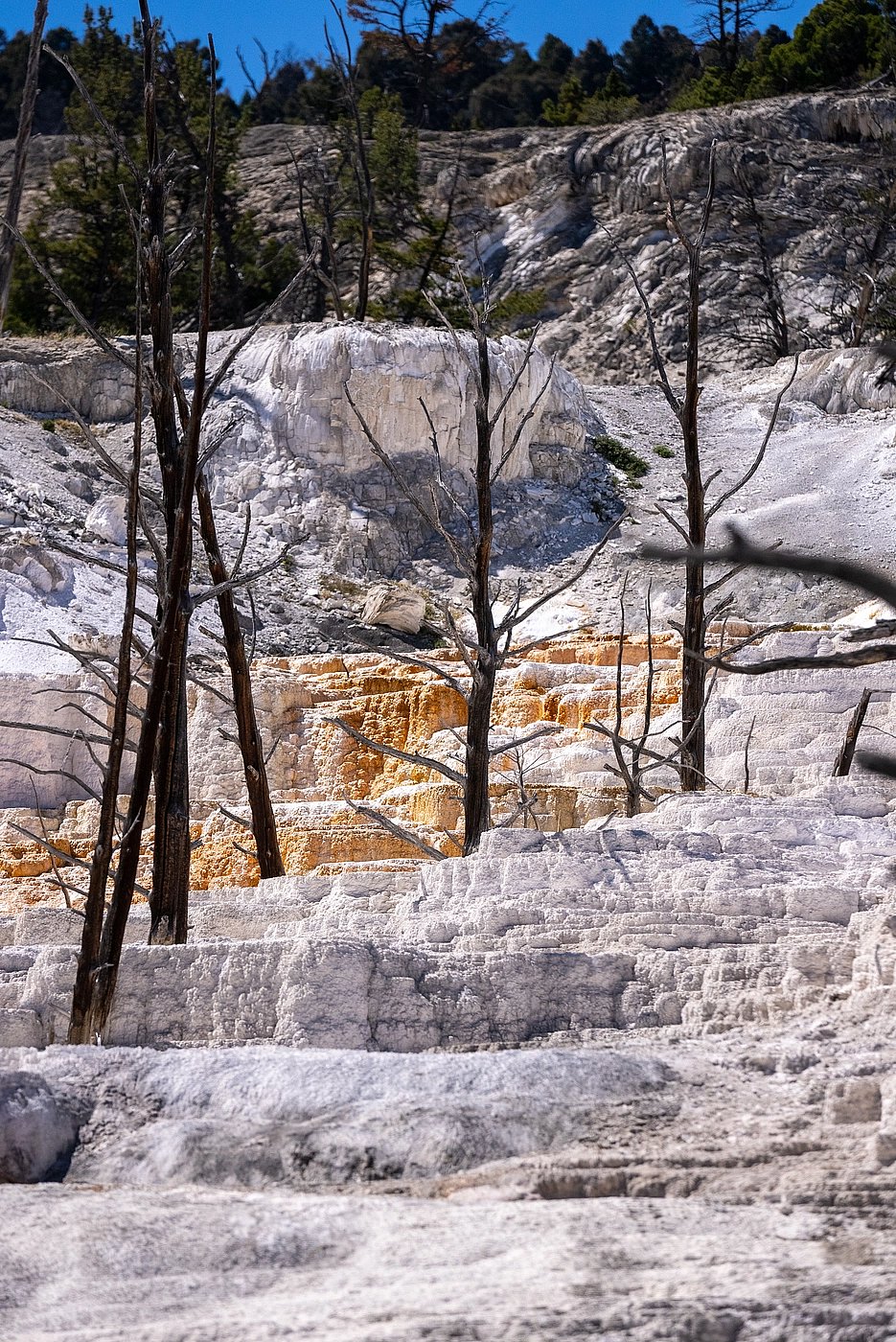 Upper Loop - Mammoth - Travertine Terraces