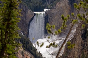 Grand Canyon of Yellowstone